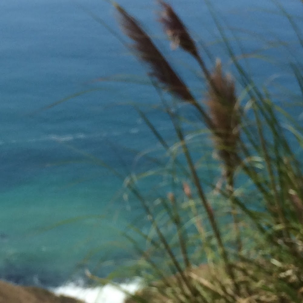 Meet your Posher, Ash